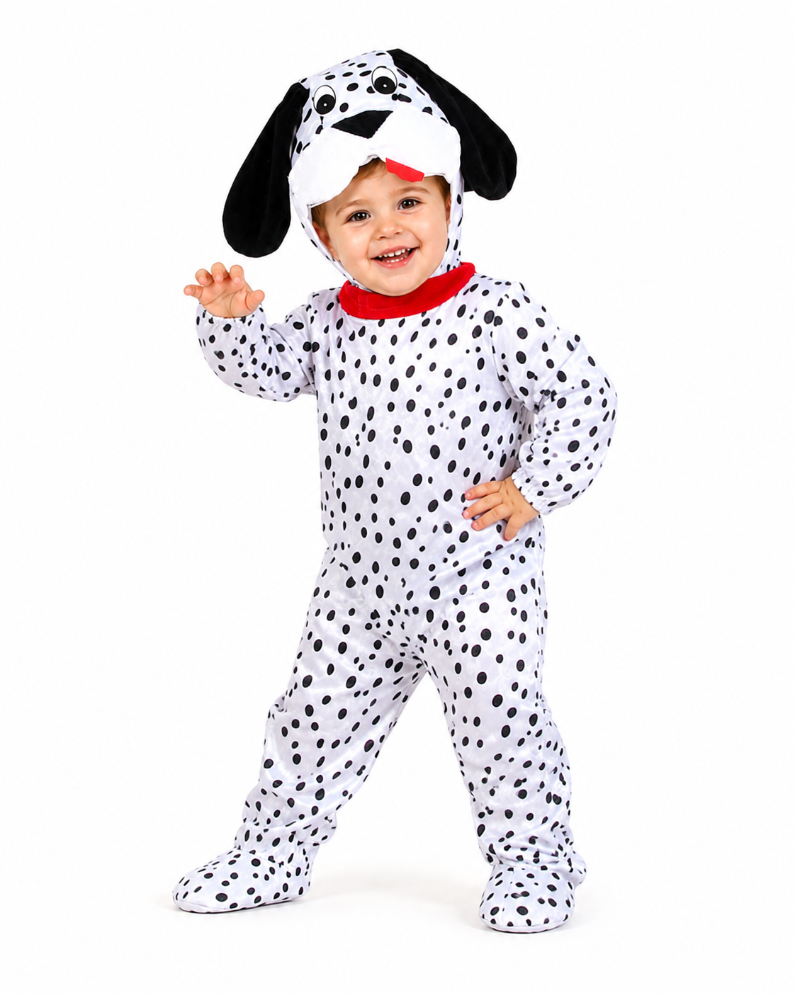 DALMATA